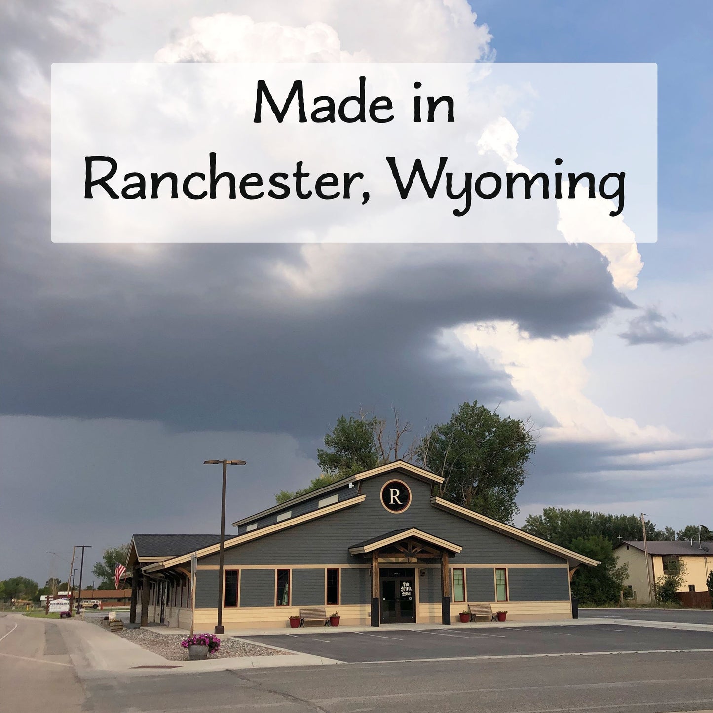 It's A Good Day to Read Retro Cat Tote Bag
