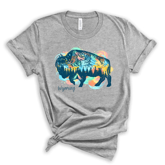 Wyoming Bison Collage athletic grey